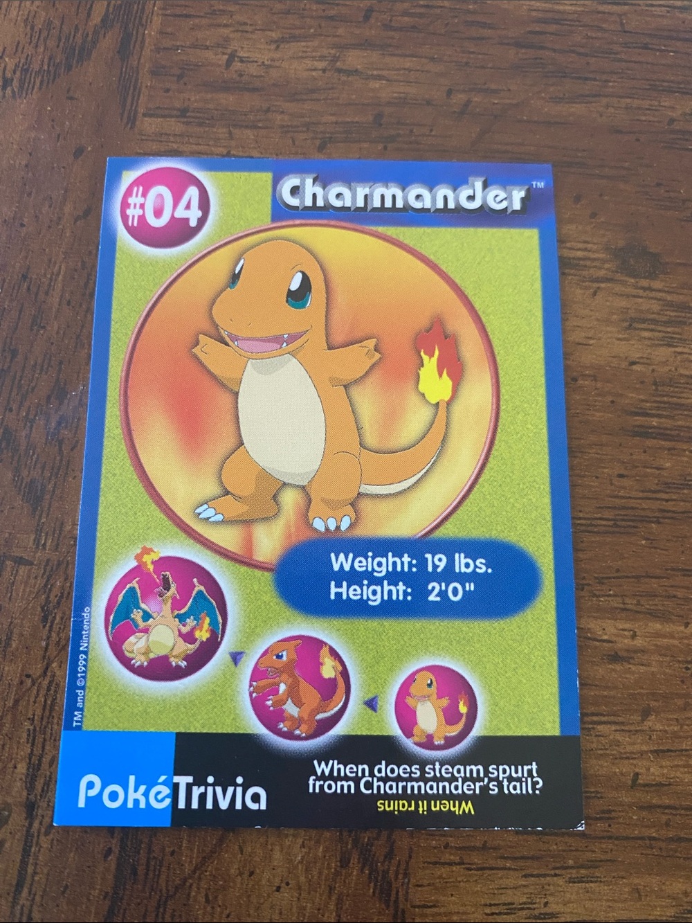 Charmander #04